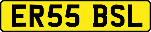ER55BSL