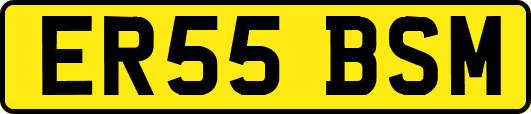 ER55BSM