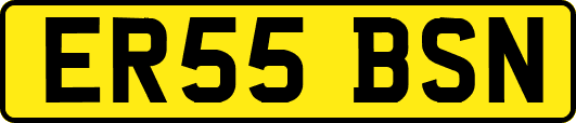 ER55BSN