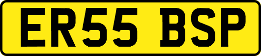 ER55BSP