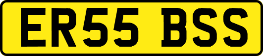 ER55BSS