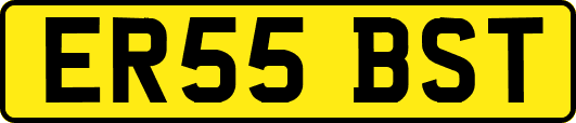 ER55BST