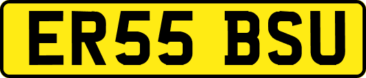 ER55BSU