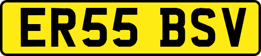 ER55BSV