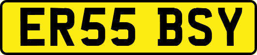 ER55BSY