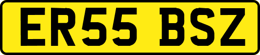 ER55BSZ