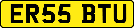 ER55BTU