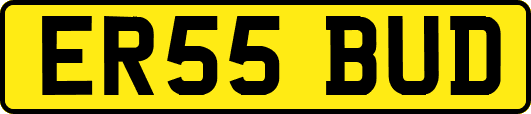 ER55BUD