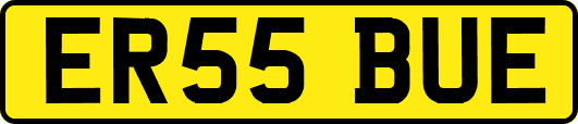 ER55BUE