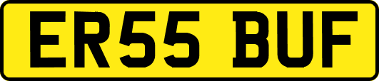 ER55BUF