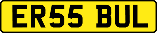 ER55BUL