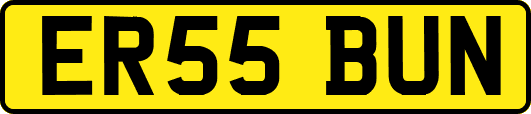 ER55BUN