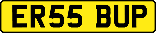 ER55BUP