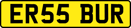 ER55BUR