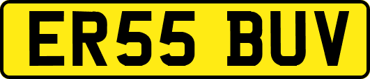 ER55BUV