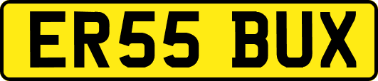 ER55BUX