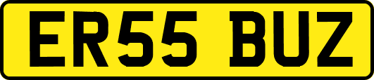ER55BUZ