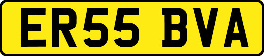 ER55BVA