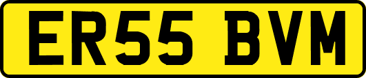 ER55BVM
