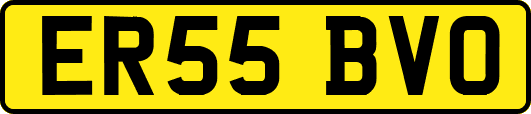 ER55BVO