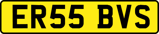 ER55BVS
