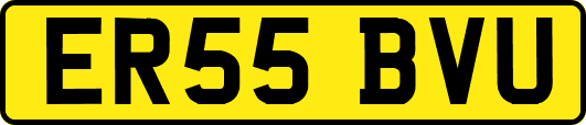 ER55BVU