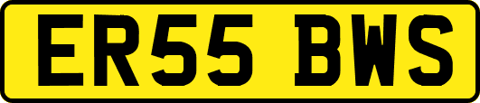 ER55BWS
