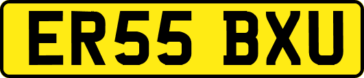 ER55BXU