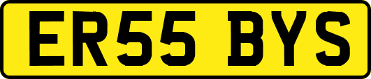 ER55BYS