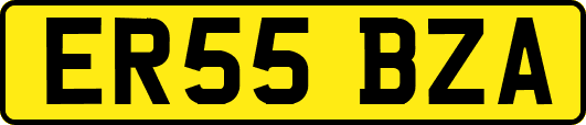ER55BZA