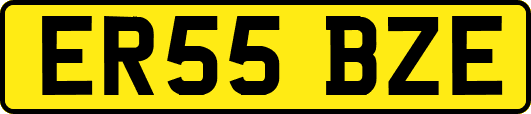 ER55BZE
