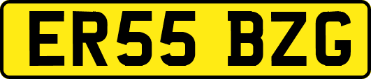 ER55BZG