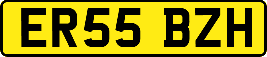 ER55BZH