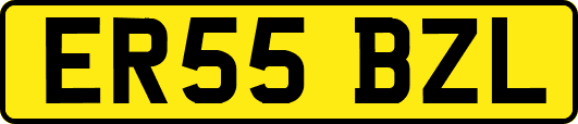 ER55BZL