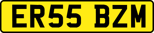 ER55BZM