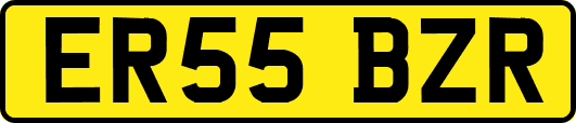 ER55BZR