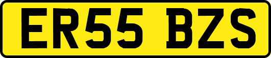 ER55BZS