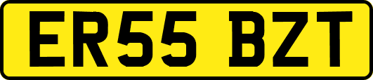 ER55BZT