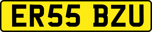 ER55BZU