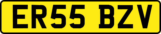 ER55BZV