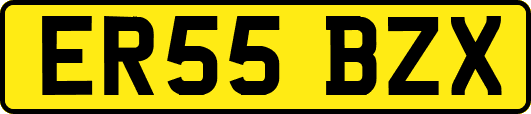 ER55BZX