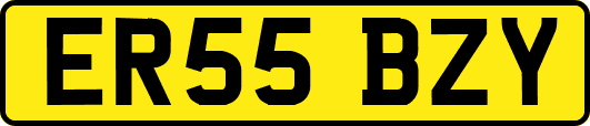 ER55BZY