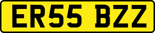 ER55BZZ