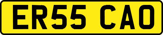 ER55CAO