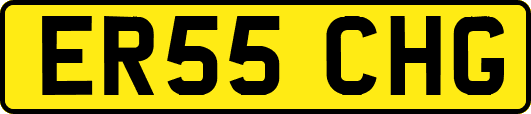 ER55CHG