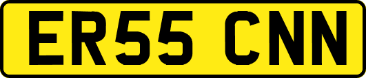ER55CNN
