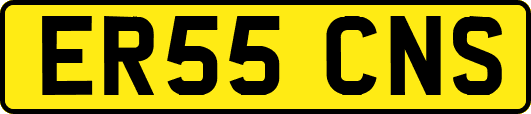 ER55CNS