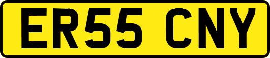 ER55CNY