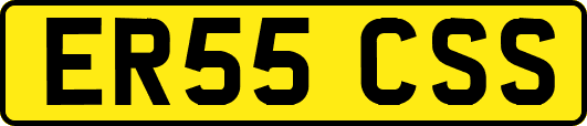 ER55CSS