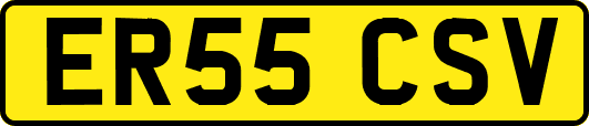 ER55CSV